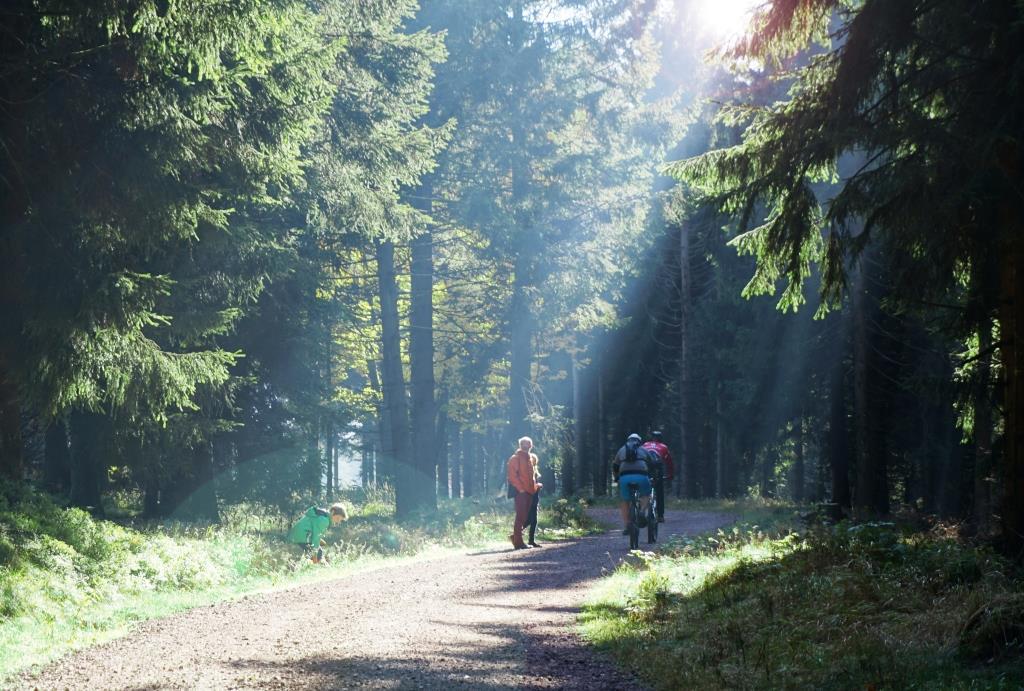 Wandern und Radfahren sind nur einige Sportarten, die im Wald besonders viel Spaß machen. ThüringenForst