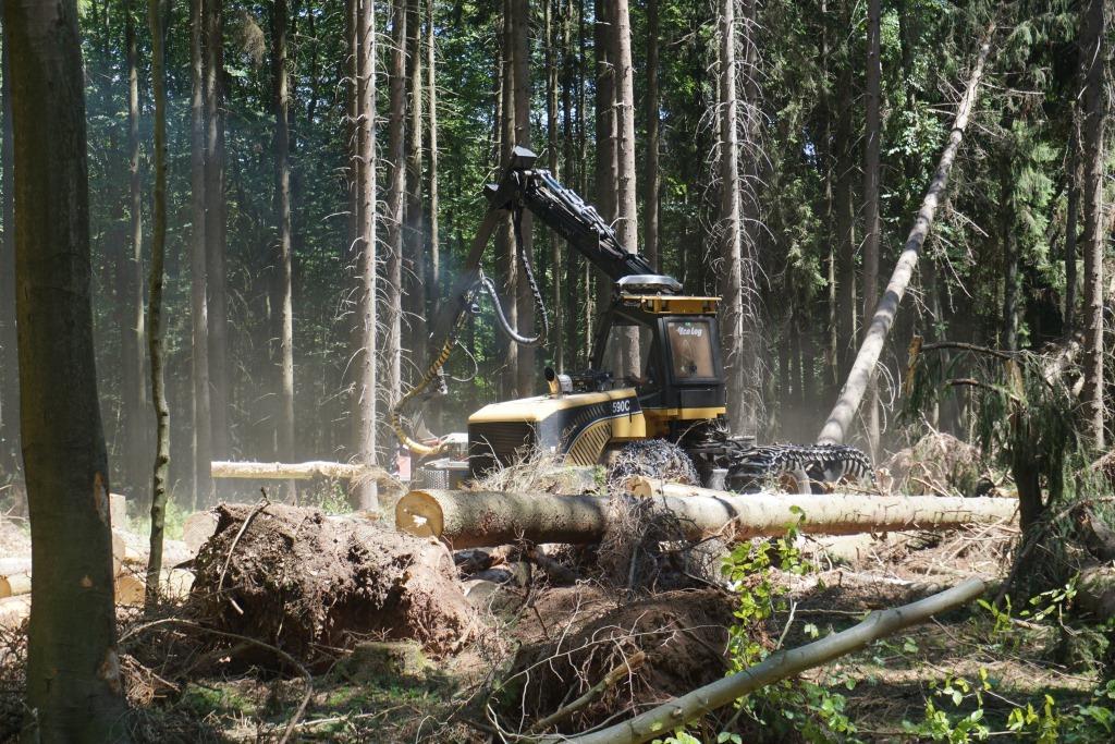 Die Bereitstellung des Roh-, Bau- und Werkstoffes sowie Energieträgers Holz wie auch wichtige Arbeitsplätze im ländlichen Raum werden durch die EU-Kommission weltweit künftig verstärkt gefördert