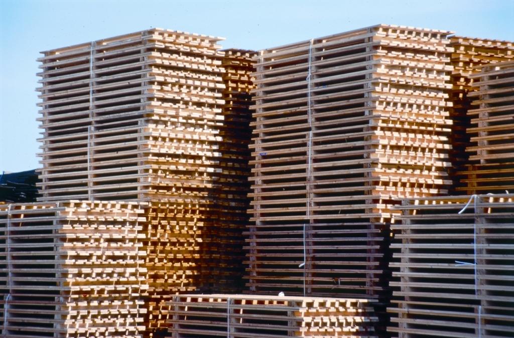 2018 wurden bundesweit insgesamt 110 Mio. Holzpaletten produziert, davon ca. 36 Mio. Europaletten 