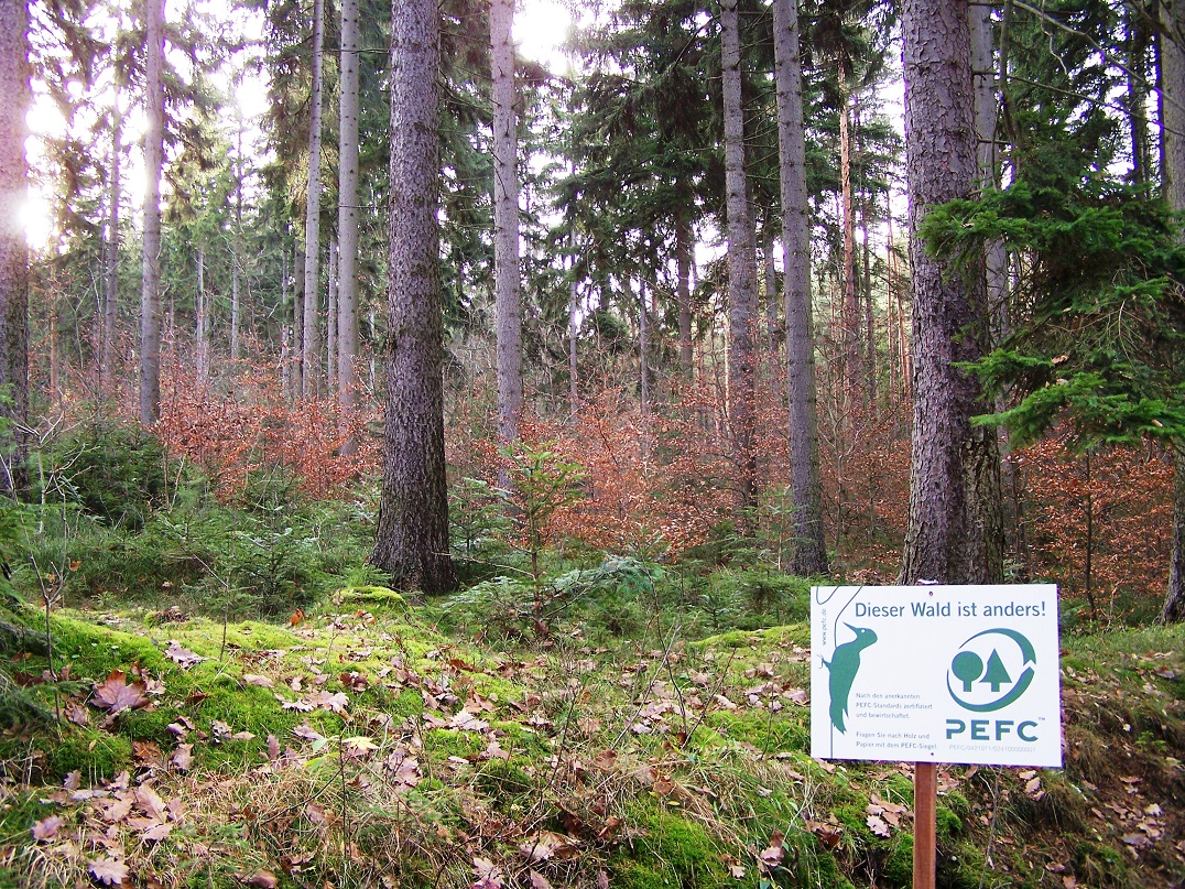 PEFC-zertifizierte Wälder genügen höchsten ökologischen, ökonomischen wie auch sozialen Standards