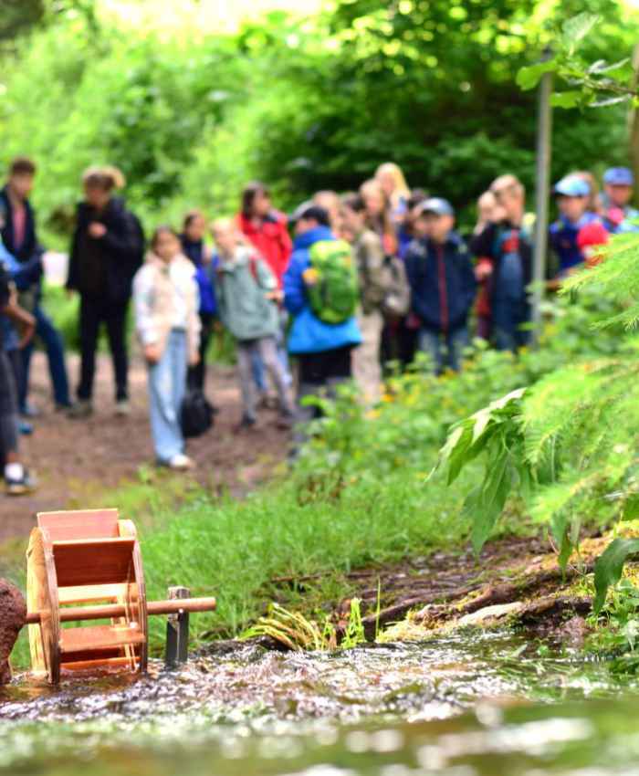 ThüringenForst: Waldjugendspiele starten