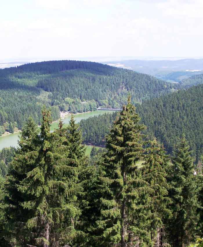 Kohlenstoffinventur in Thüringens Wäldern startet